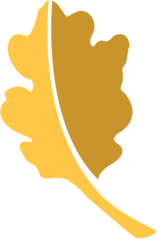 North Oaks Health System